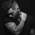 Alper profil